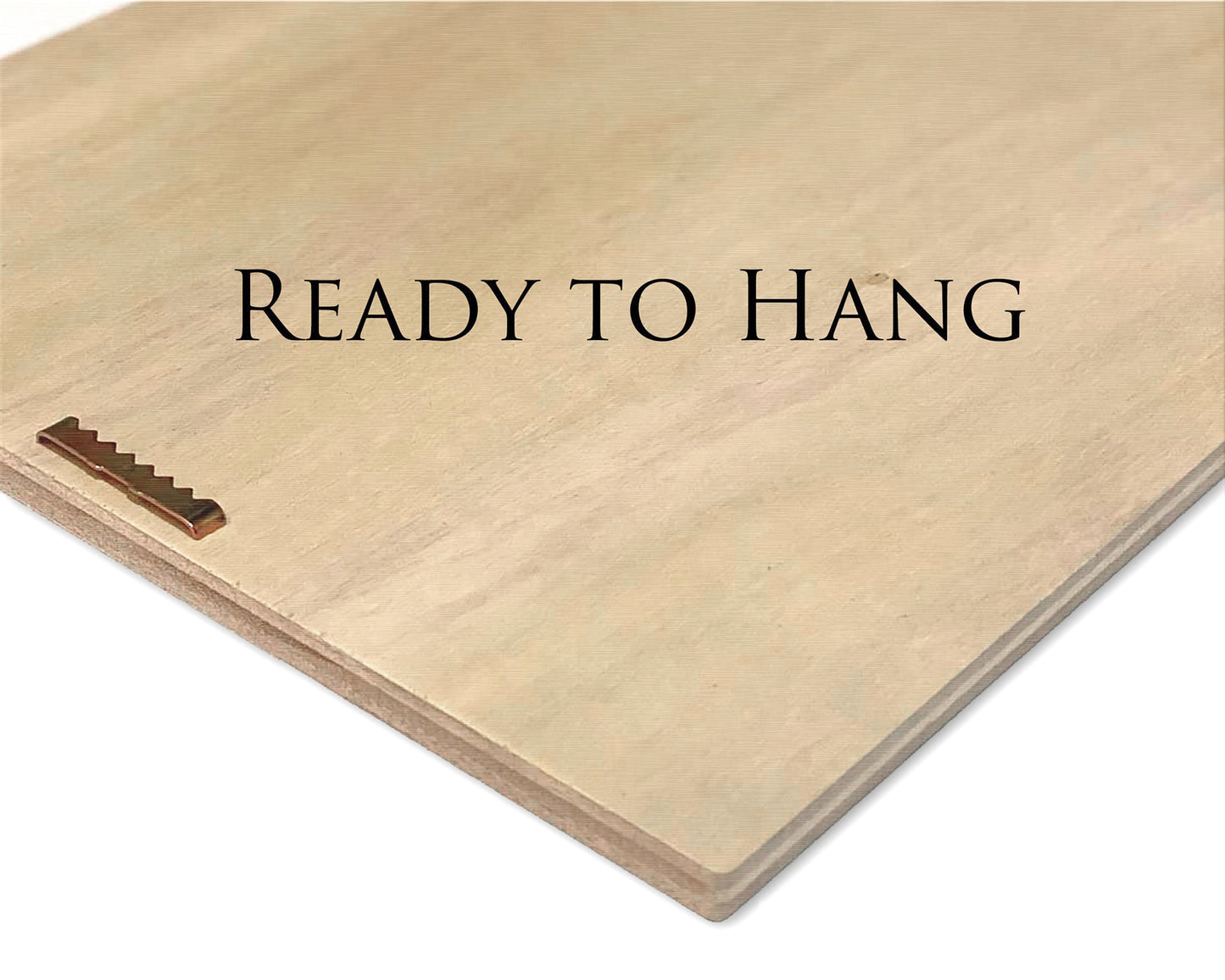 More than Many Sparrows, Matthew 10:29-31 Scripture Art, God's Protection, Christian Wall Decor, Encouragement decor, Wood sign with verse