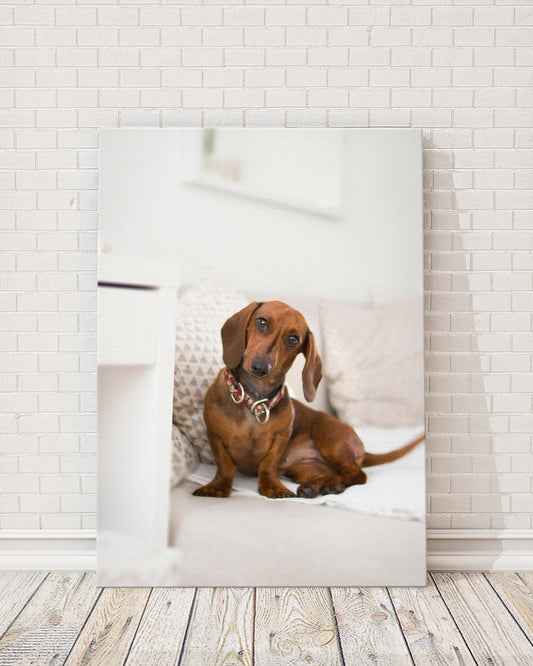 Custom Pet Photo Canvas