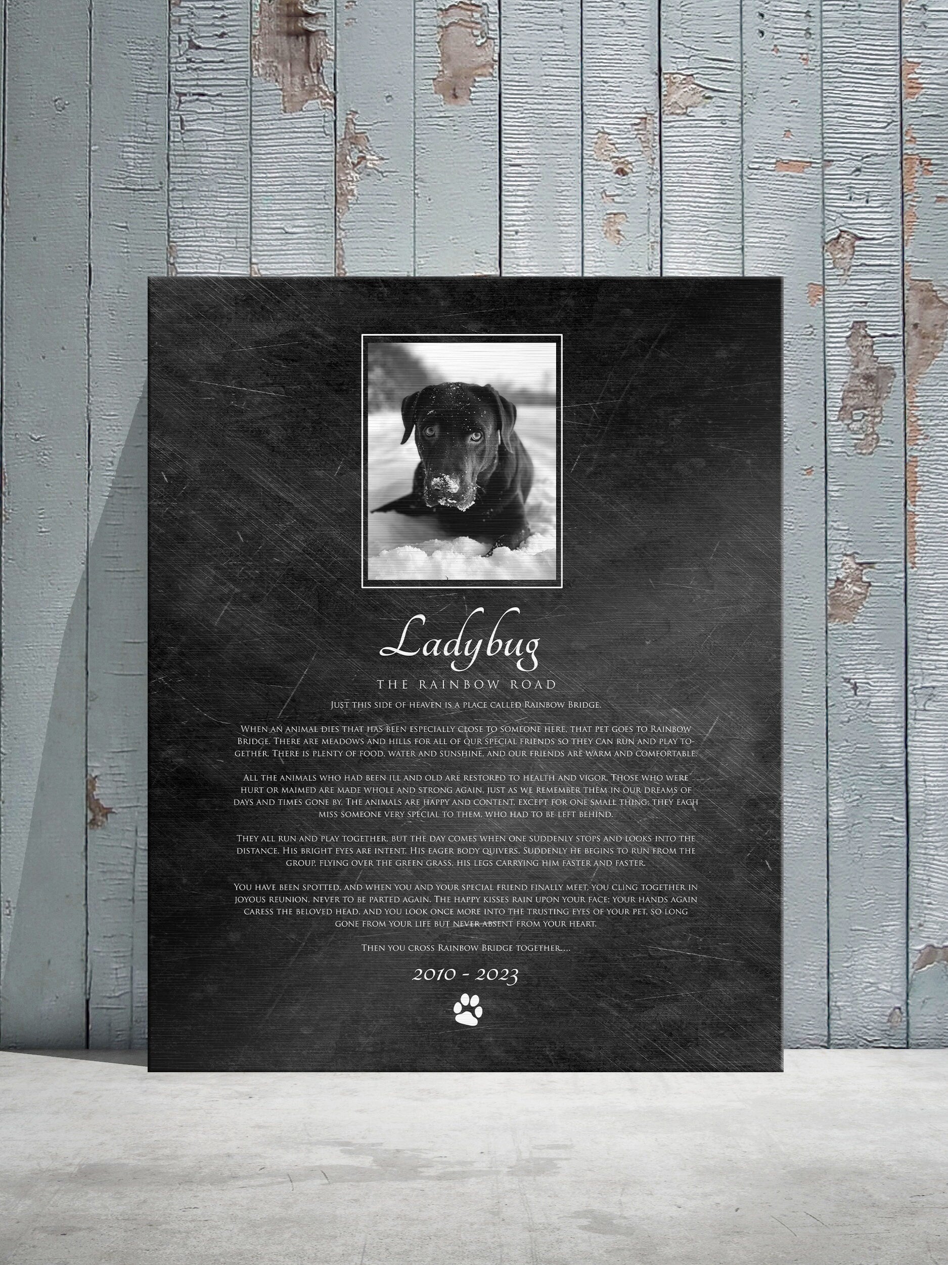 The Rainbow Bridge, Photo Pet Memorial, Pet Loss, Sympathy for Pet, In loving memory, Eulogy Plaque, Gift Pet Memory, Comforting pet tribute