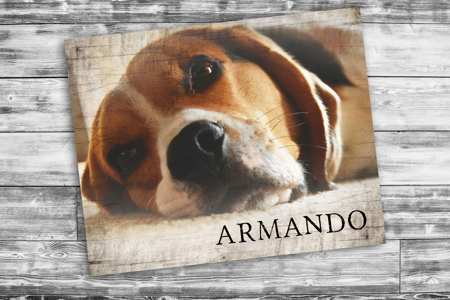 Rustic Pet Portrait on Wood, Personalized Pet Memorial on Wood, Gift for Pet Parents, Dog Portrait, Tribute, Plaque, Pet Lover, Pet Loss
