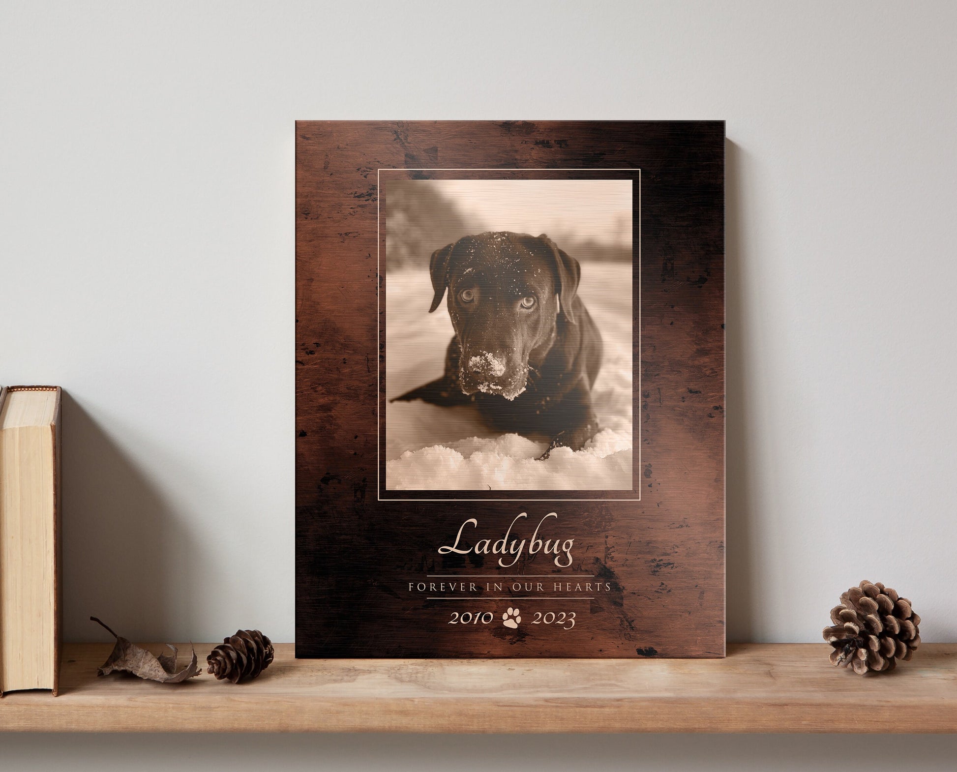 Pet Photo Tribute, Personalized Pet Memorial, Pet Loss, Sympathy Gift, RIP Plaque for Pet, Eulogy Plaque, Doggy Heaven, Comfort pet owner