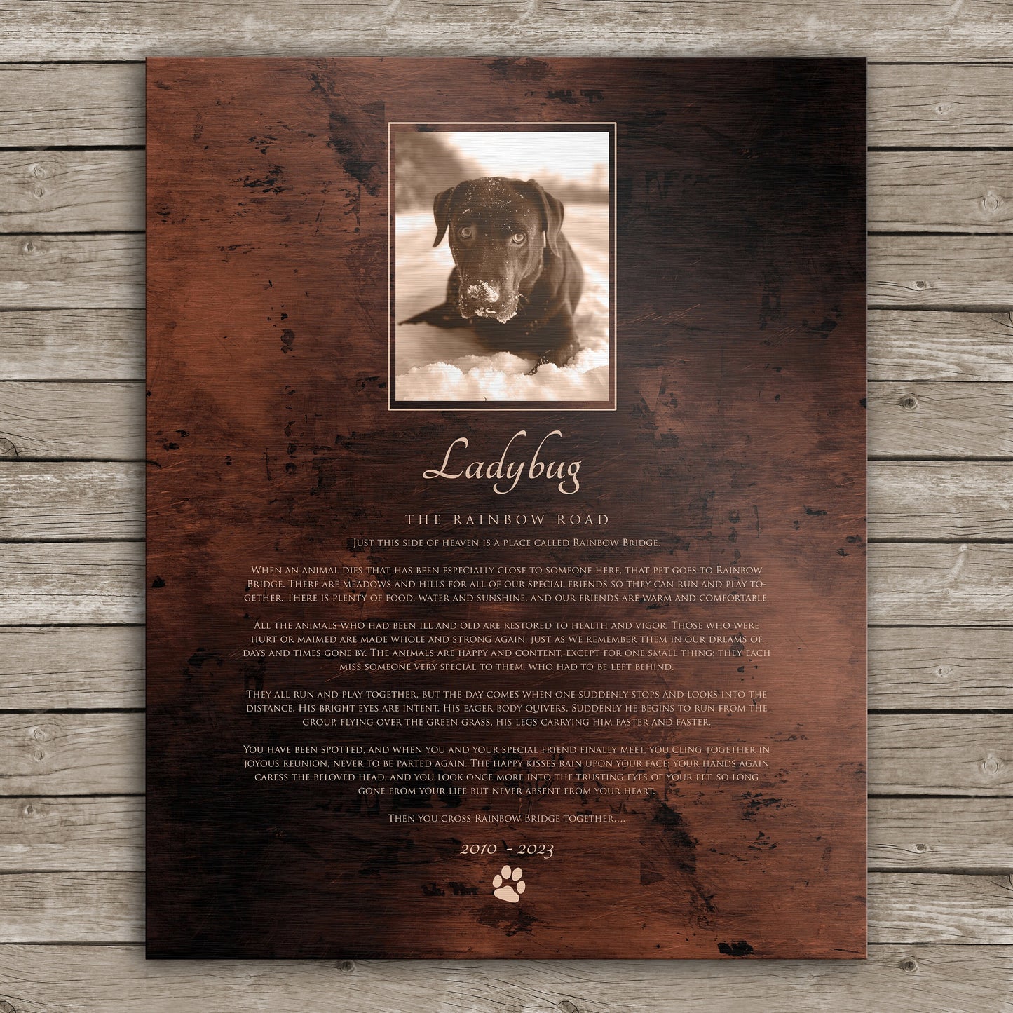 The Rainbow Bridge, Photo Pet Memorial, Pet Loss, Sympathy for Pet, In loving memory, Eulogy Plaque, Gift Pet Memory, Comforting pet tribute