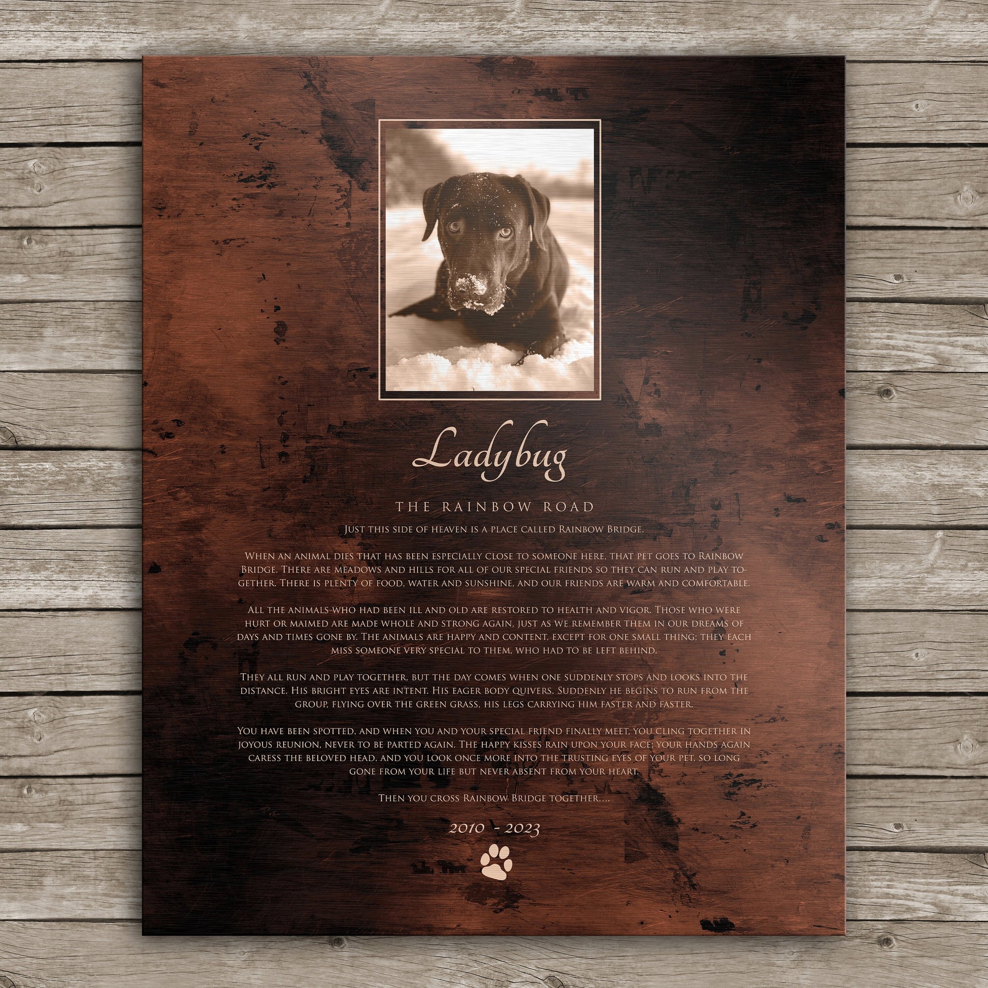 The Rainbow Bridge, Photo Pet Memorial, Pet Loss, Sympathy for Pet, In loving memory, Eulogy Plaque, Gift Pet Memory, Comforting pet tribute